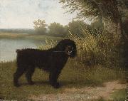 Jacques-Laurent Agasse A black water dog with a stick by a lake Germany oil painting artist
